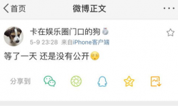 吃瓜爆料配乐是什么意思,音乐与话题的完美融合